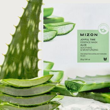 Joyful Time Essence Mask Aloe - Plátýnková 3D maska